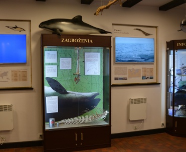Dom morświna - mikro-muzeum dedykowane ginącemu na Bałtyku gatunkowi.
