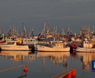 Port Władysławowo jest położony na południowym wybrzeżu Morza Bałtyckiego, na północnym krańcu Pobrzeża Kaszubskiego, tuż przy odchodzącej na wschód od lądu Mierzei Helskiej